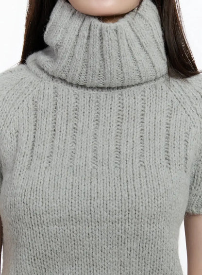 Chic Turtleneck Short Sleeve Sweater ID526