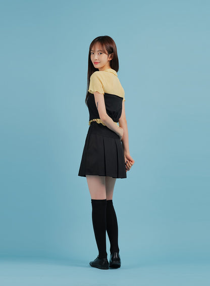 Basic Formal Pleated Mini Skirt BA27