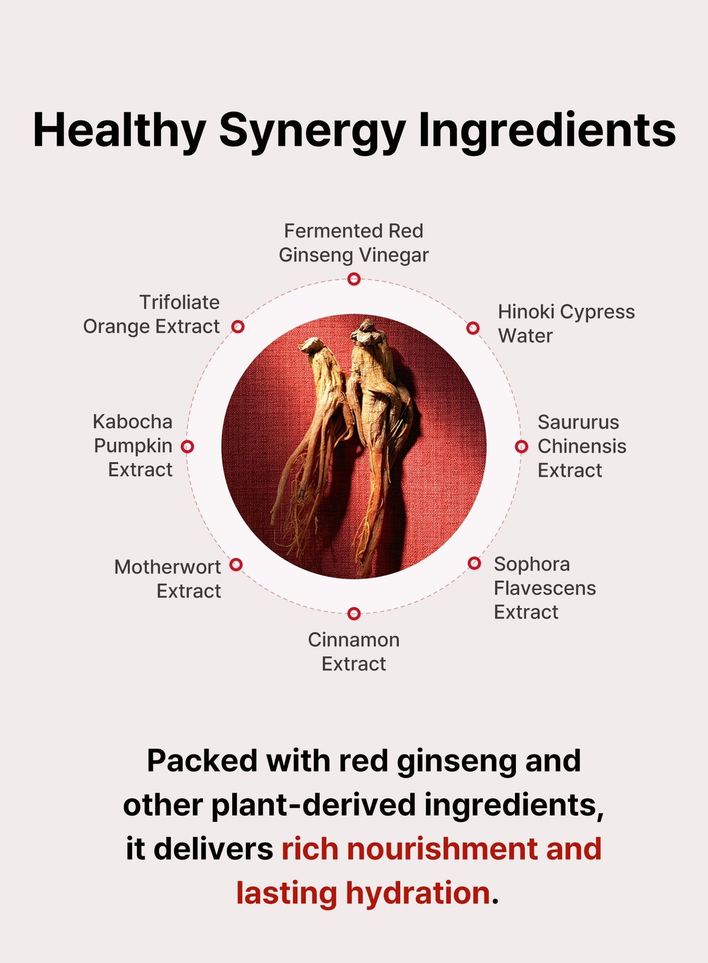 Bonyongo Red Ginseng Vinegar Foam Cleansing (120ml)