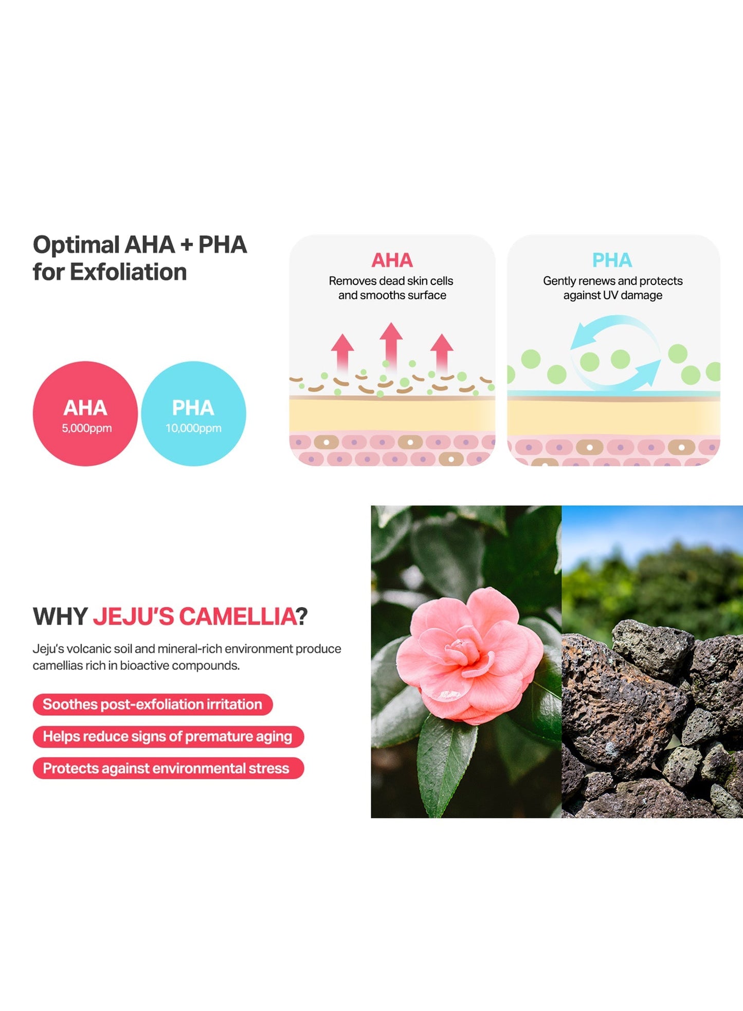 Camellia Clear Serum (30ml)