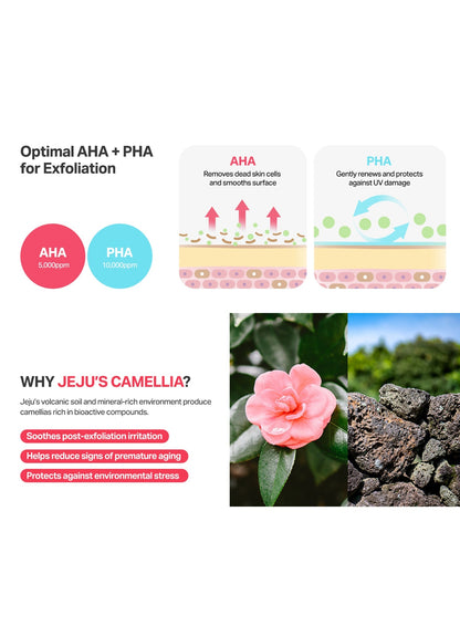 Camellia Clear Serum (30ml)