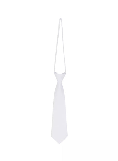 Classic Solid Necktie IF505