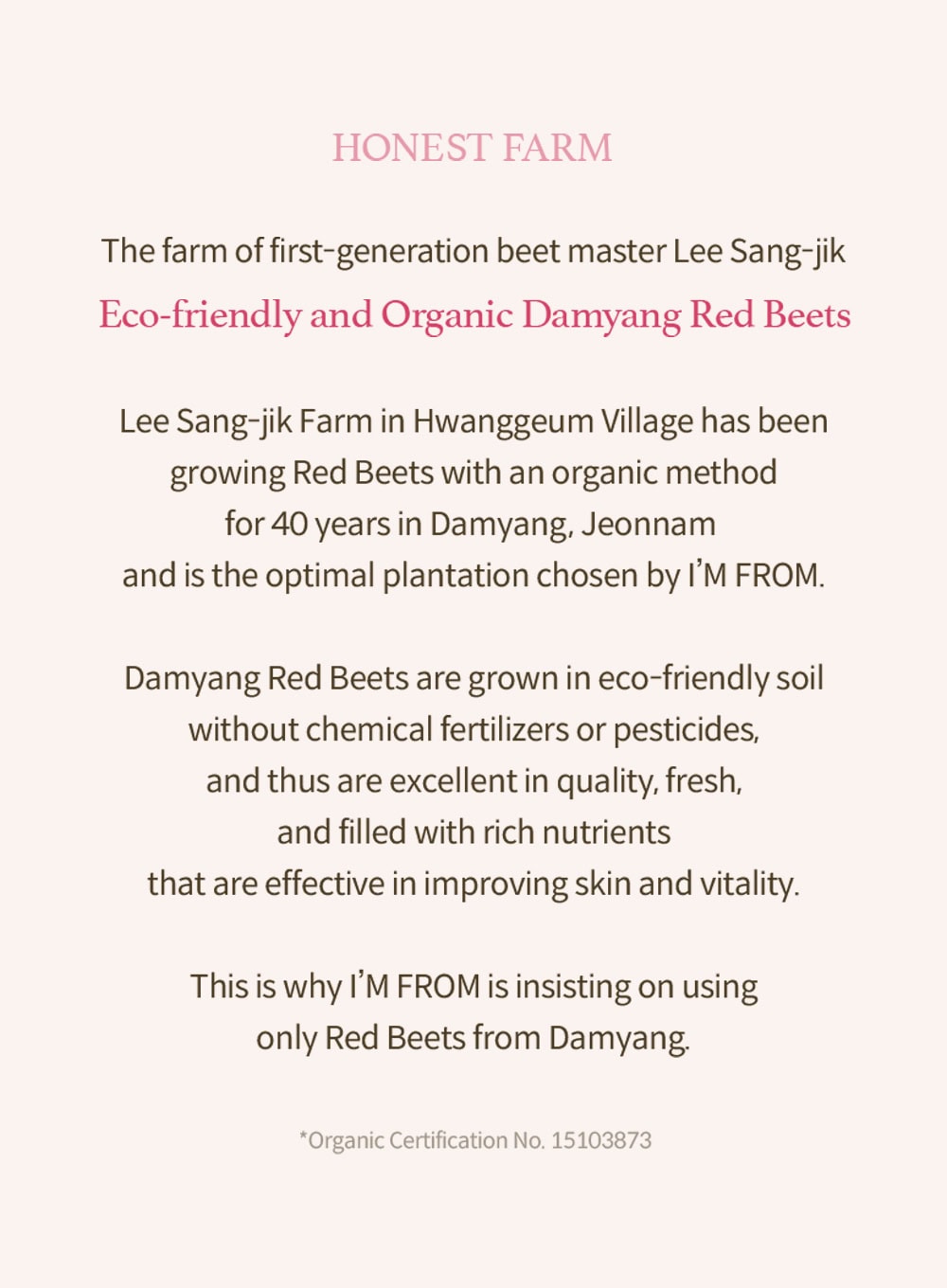 Beet Purifying Mask (110g)