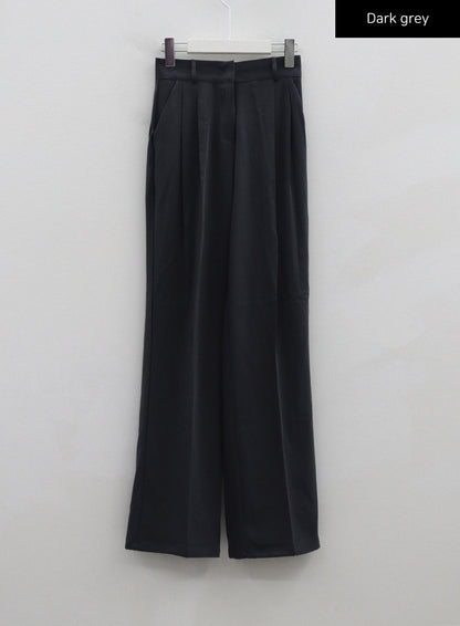 Basic Pintuck Tailored Pants CG30