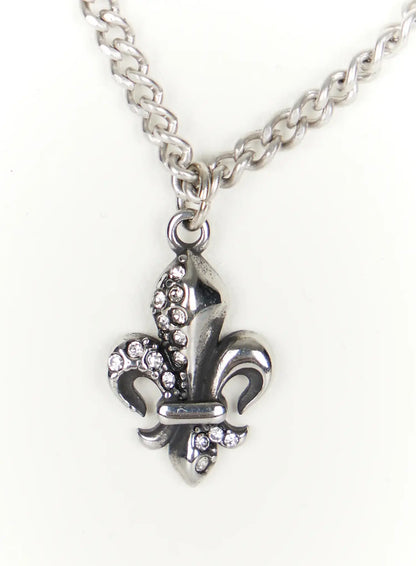 Chain Pendant Necklace IL509